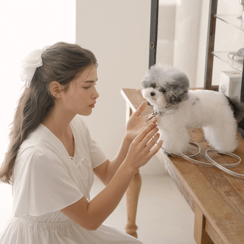 Lumiere Leash (Silver)