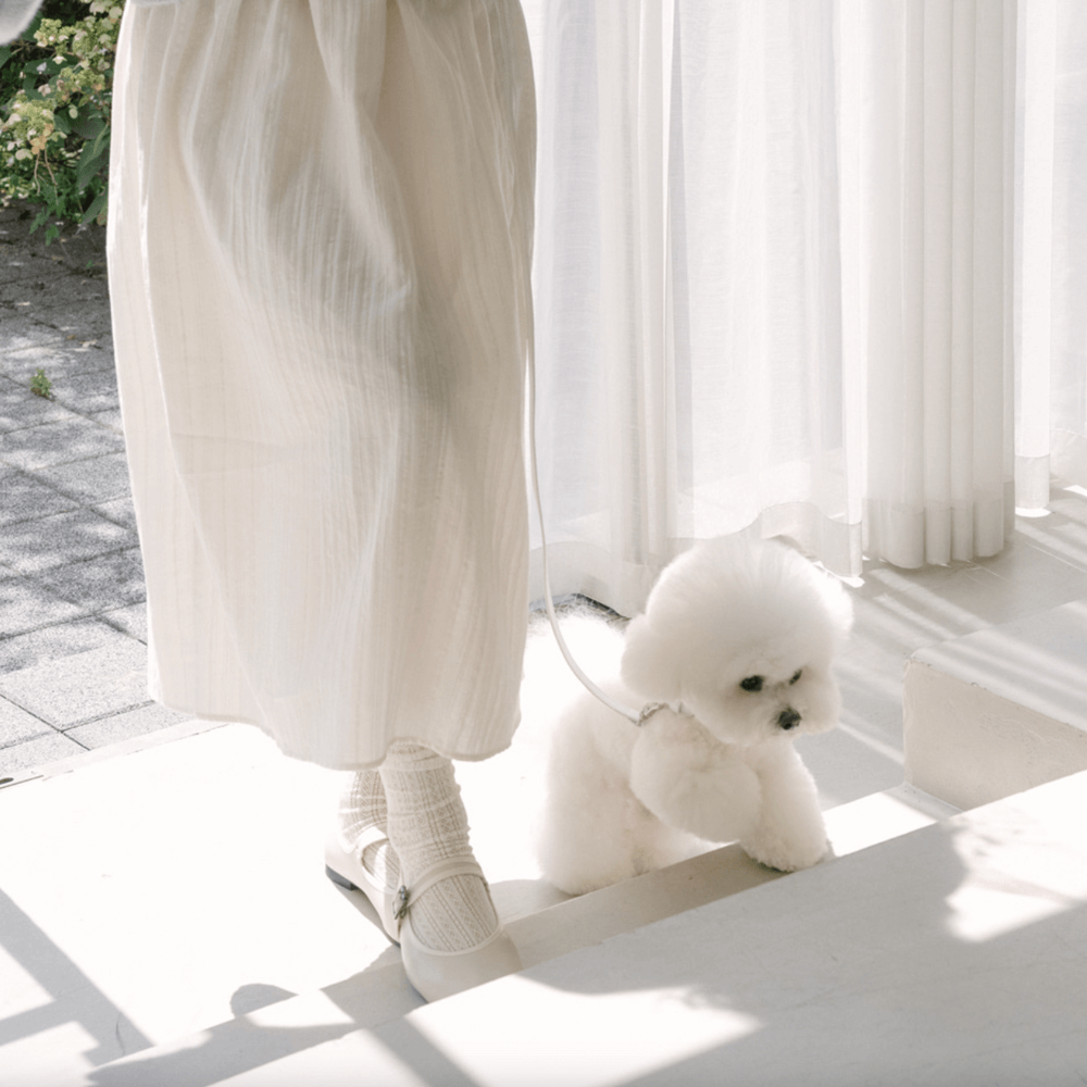 Lumiere Leash(White)