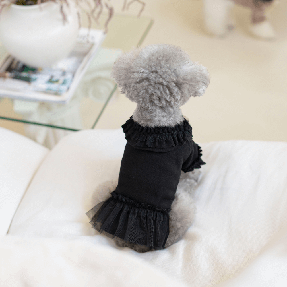 Plie Tu-Tu T-shirt(Black)