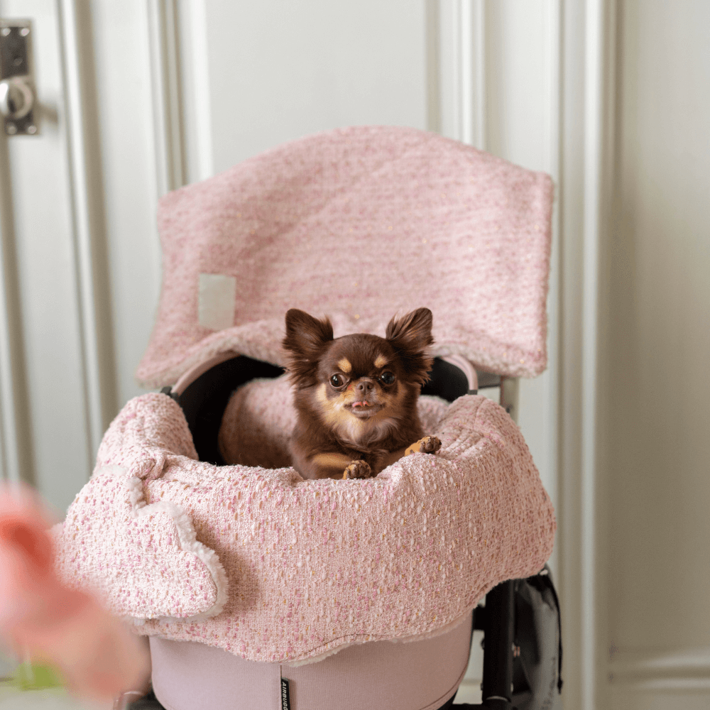 【予約】Couture Buggy Guard