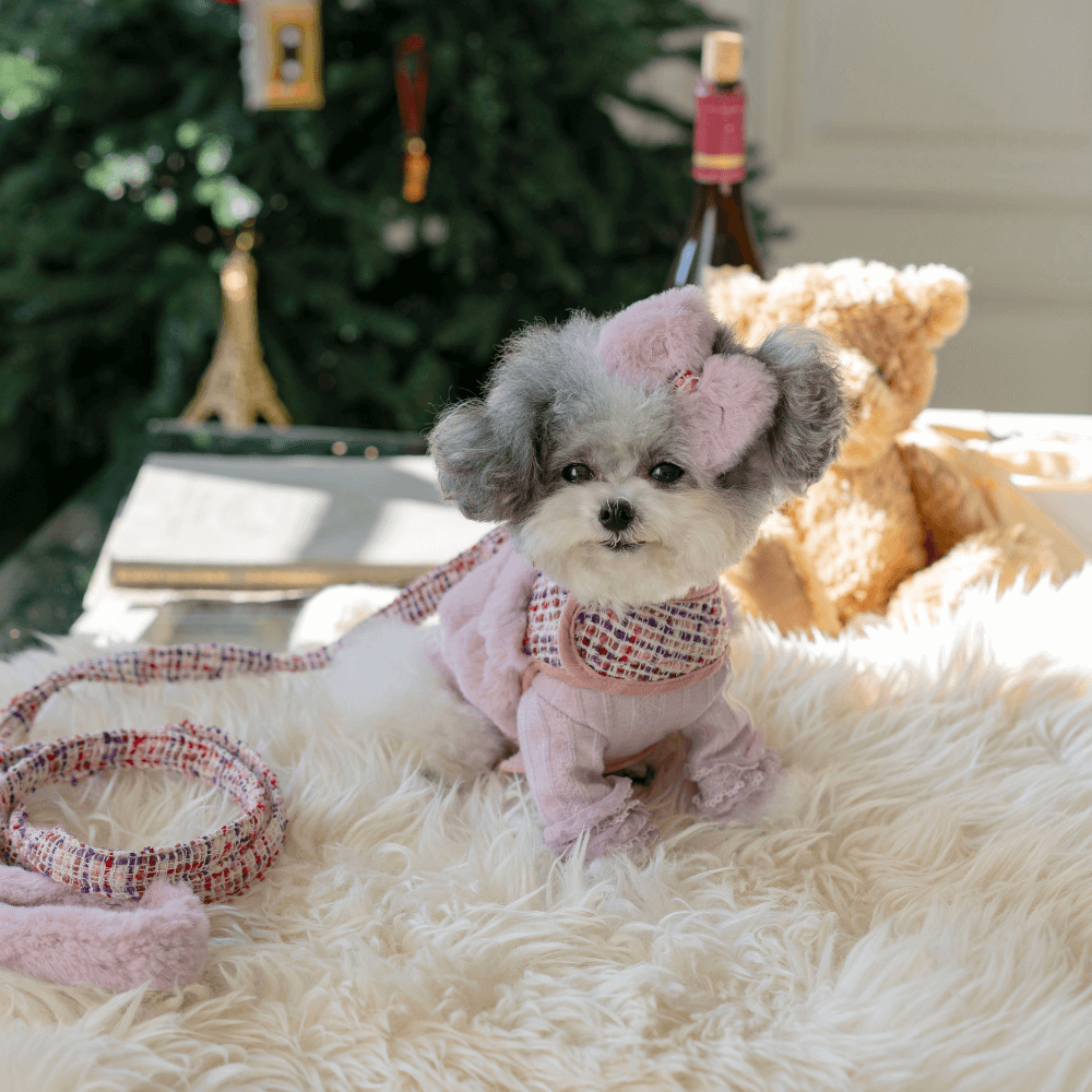 COCO Holiday Tweed Leash