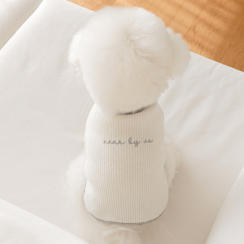 palette wool knit top (ivory)