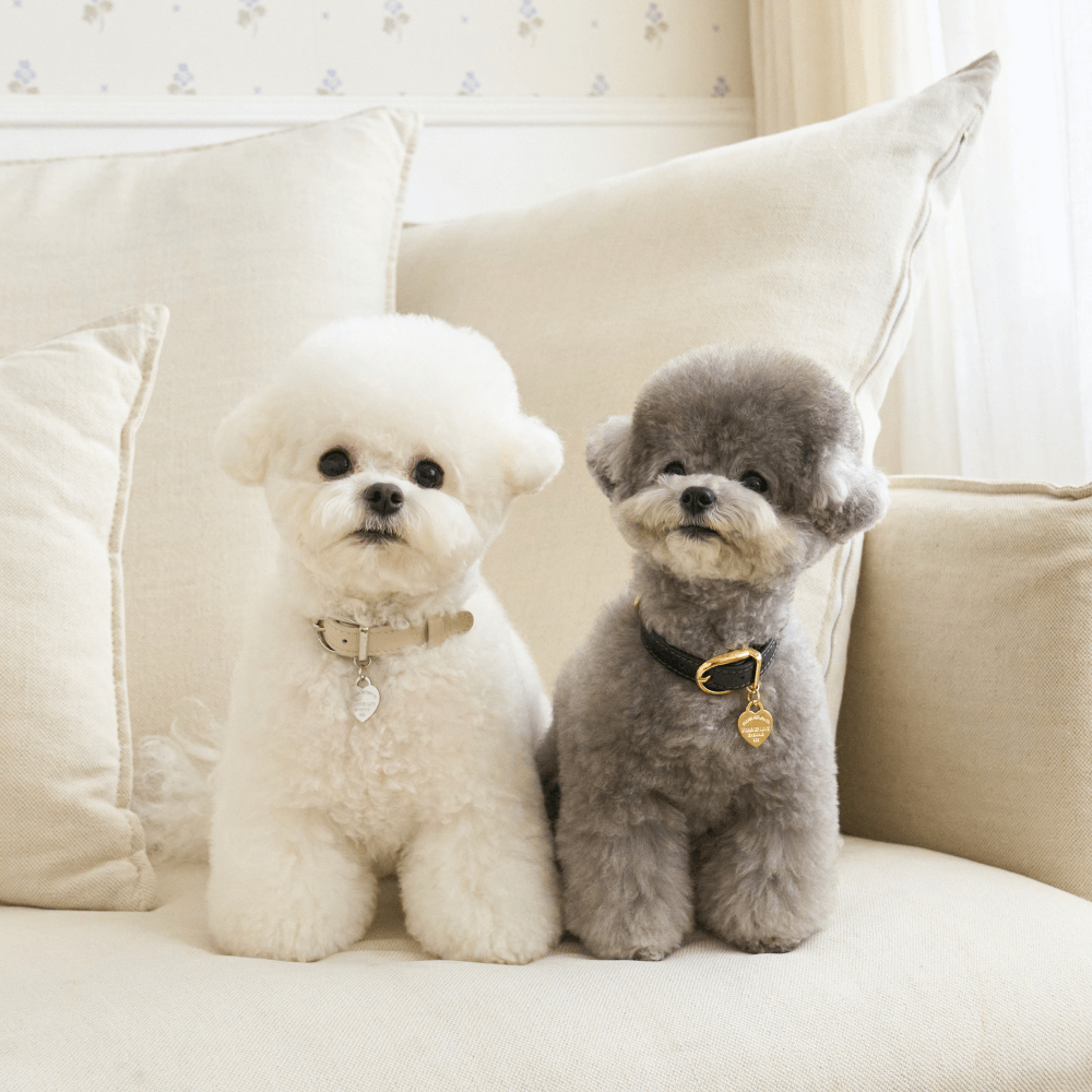 【予約】BLISS LEATHER COLLAR(Baby Cream)