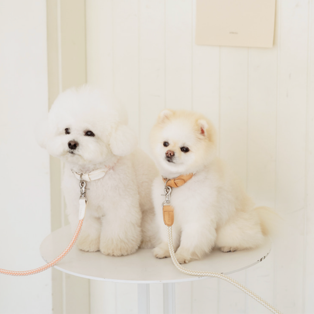 Rope Leash (Coral)