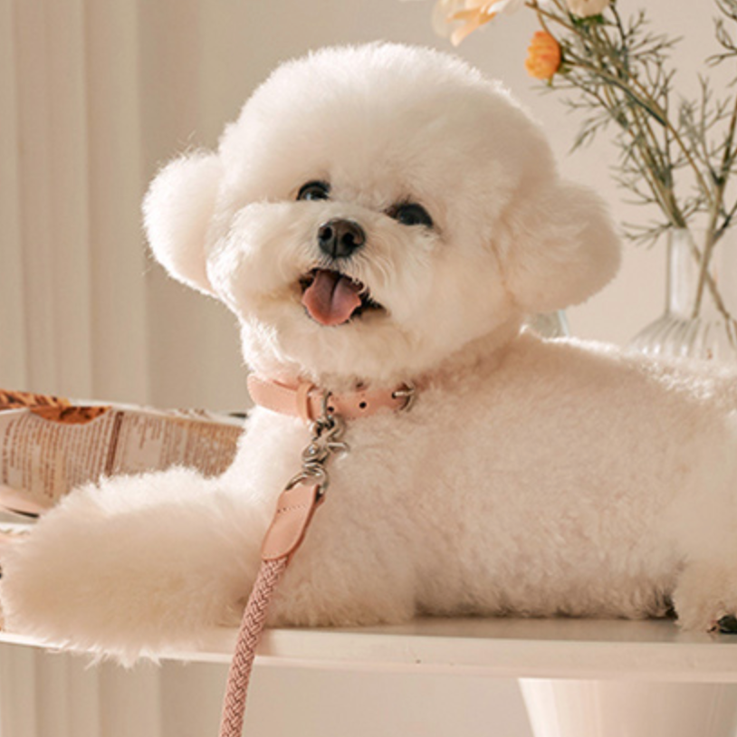 Rope Collar(ピンク)