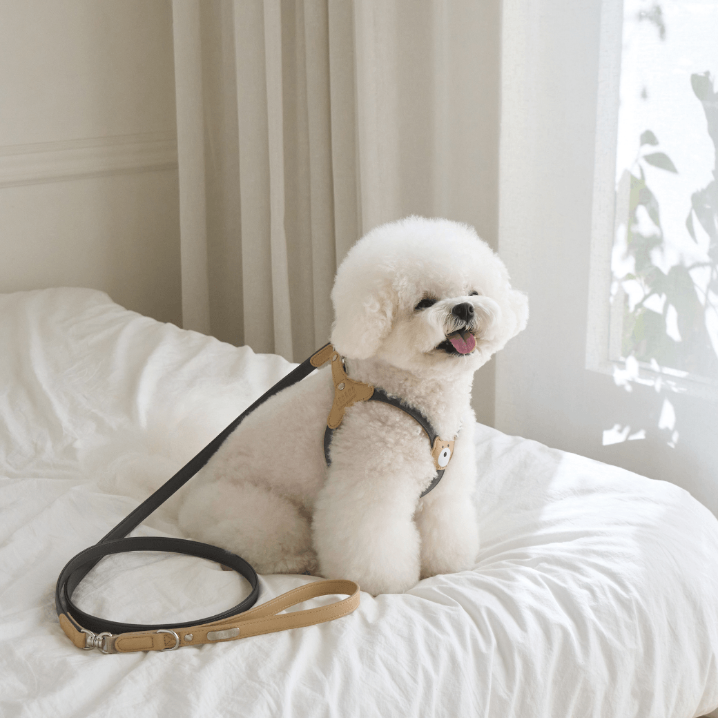 BEAR HARNESS(Dark Grey)