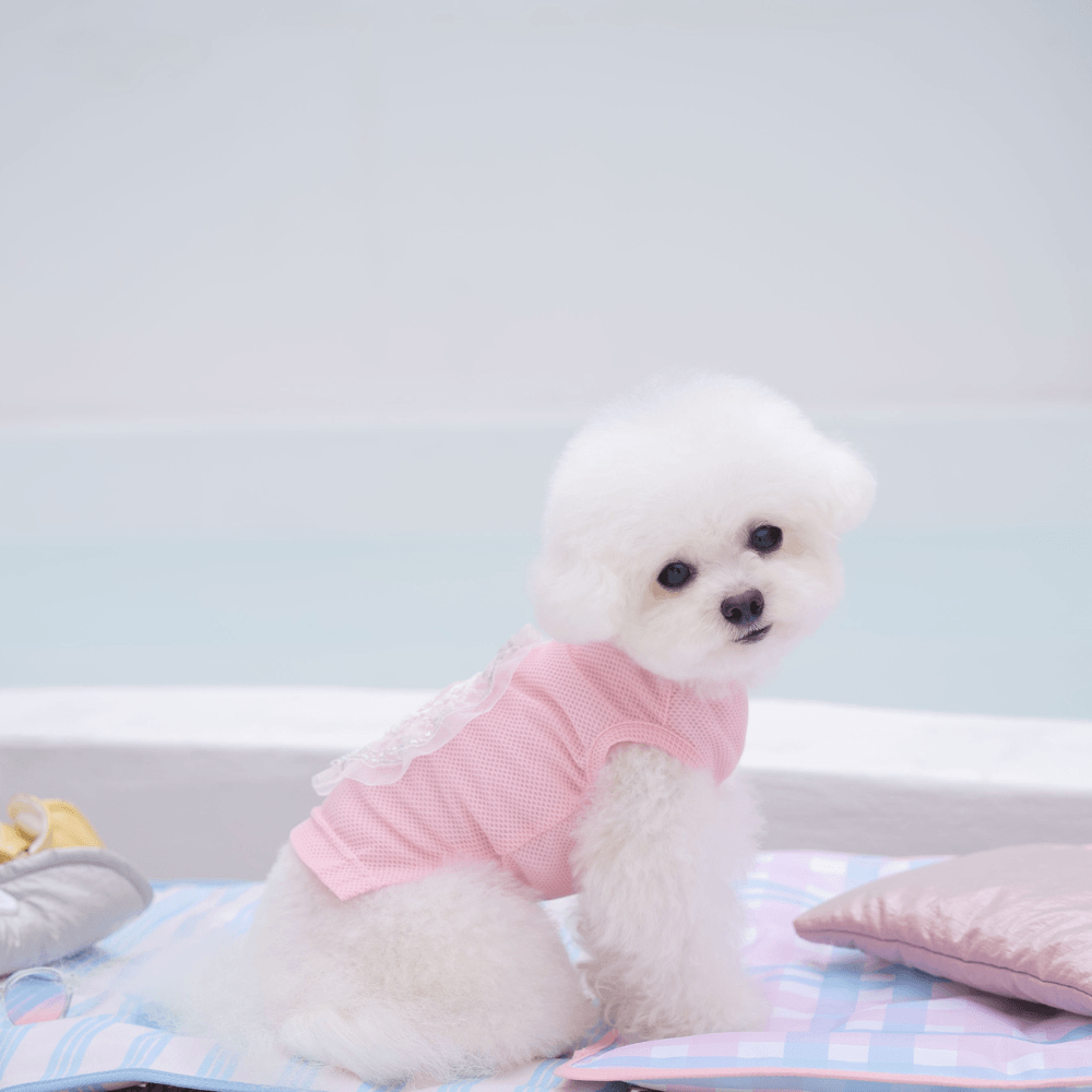 Heart COOL Protect T-shirt(Strawberry Pink)