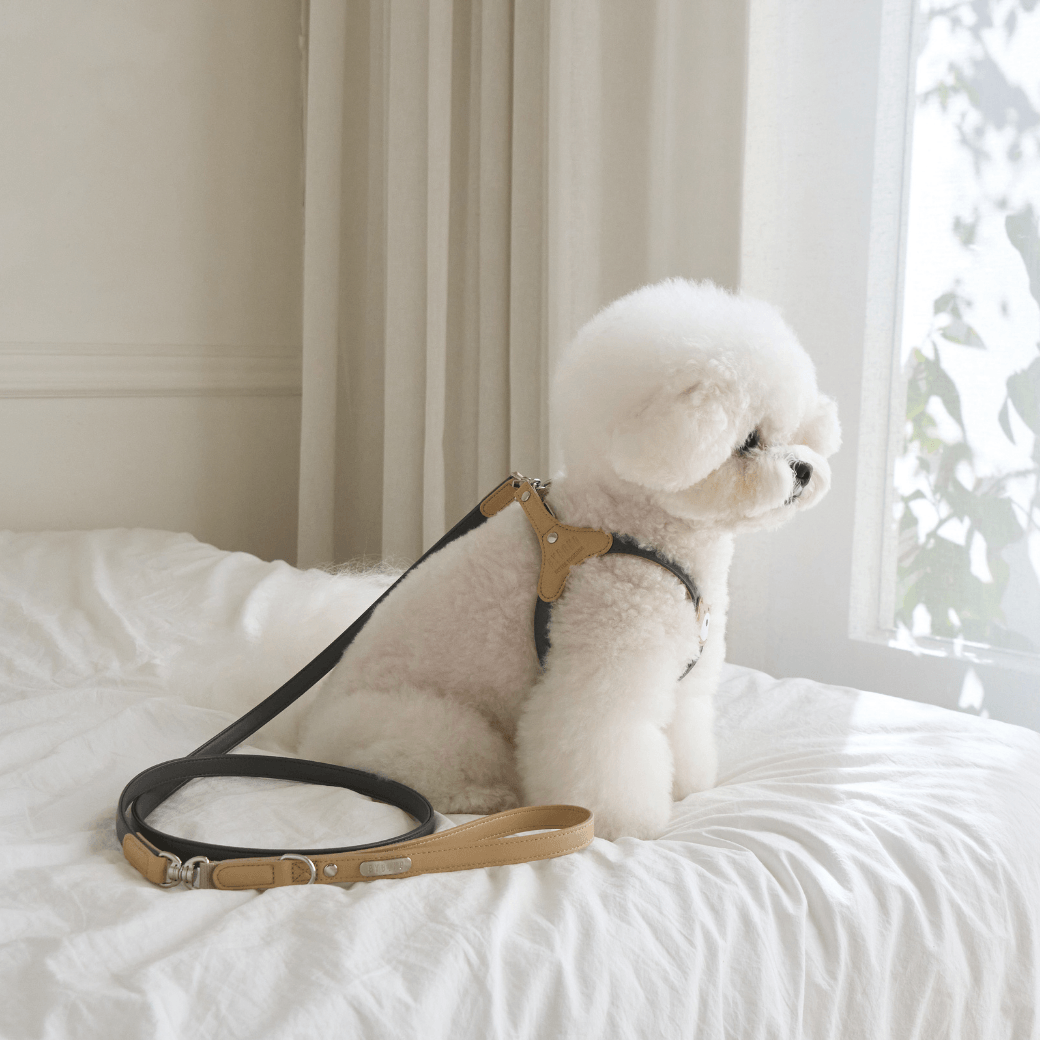 BEAR HARNESS(Dark Grey)