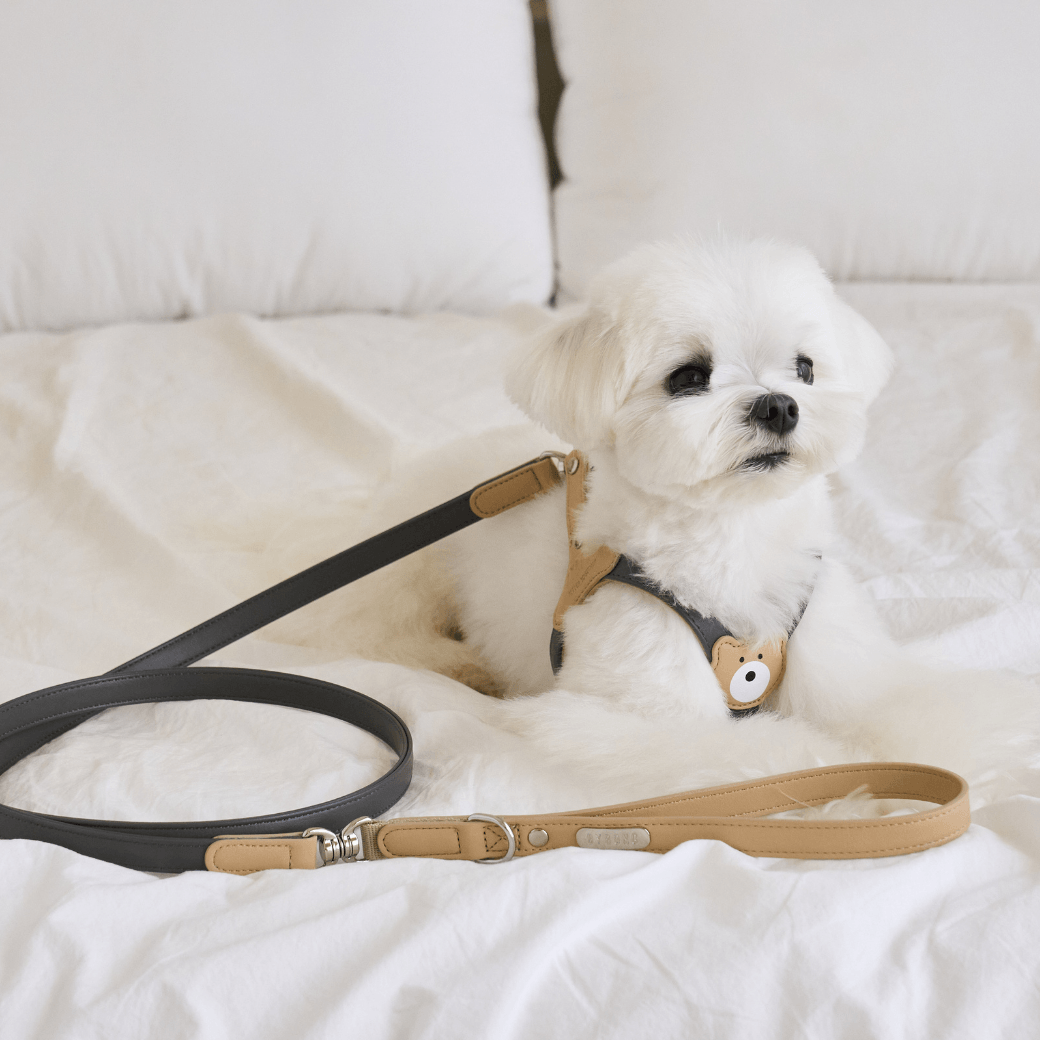 BEAR HARNESS(Dark Grey)