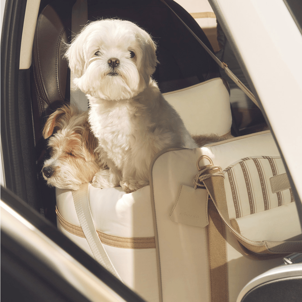 Cruise Car Seat (Beige)