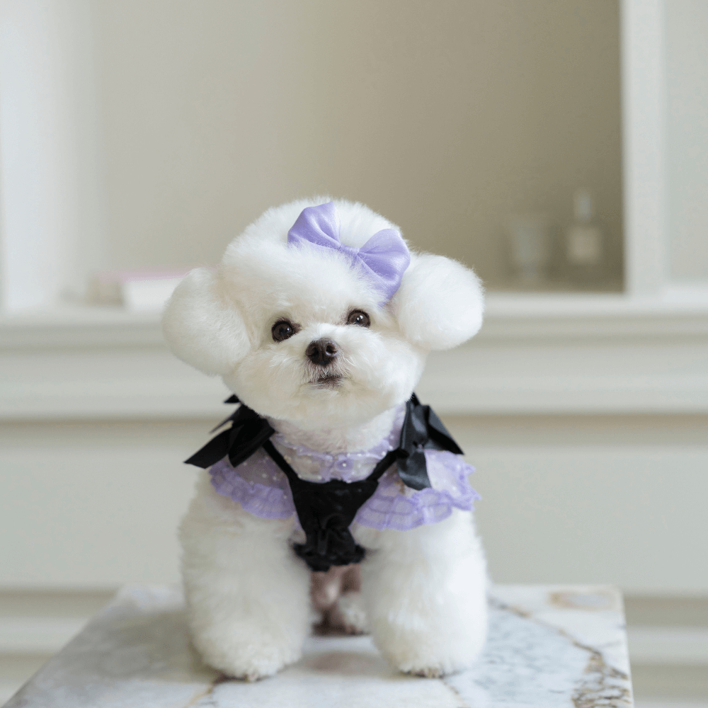 Shiny Ribbon Bustier(Shimmer Black)