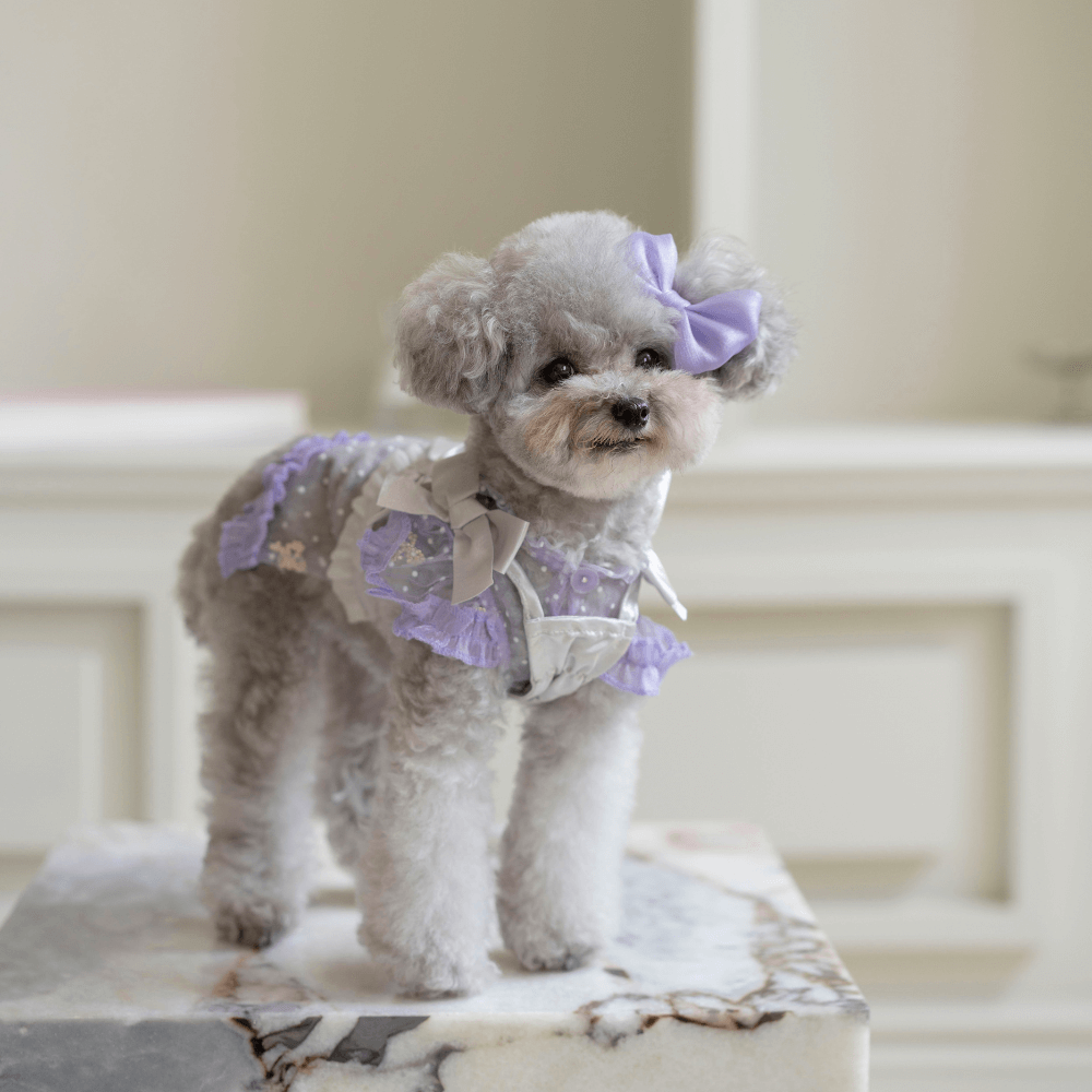 Shiny Ribbon Bustier(Smooth Silver)