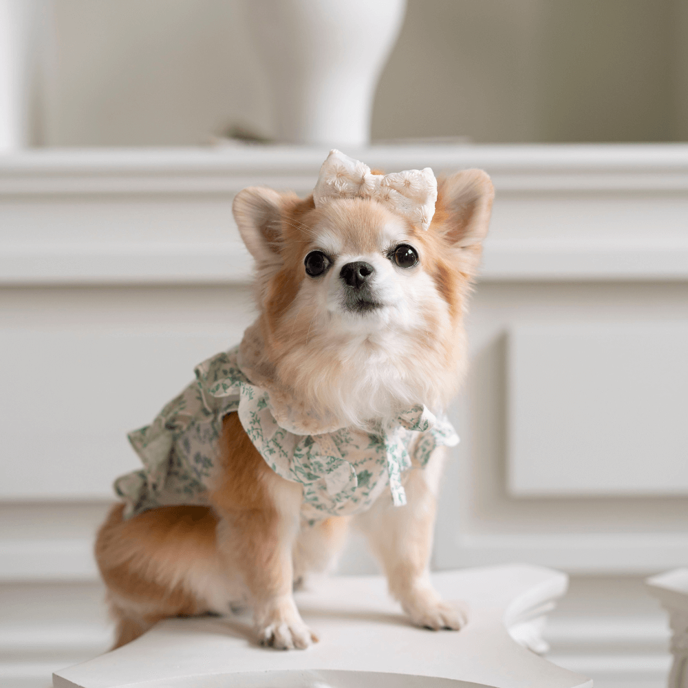 New Greenery Dress(Green)