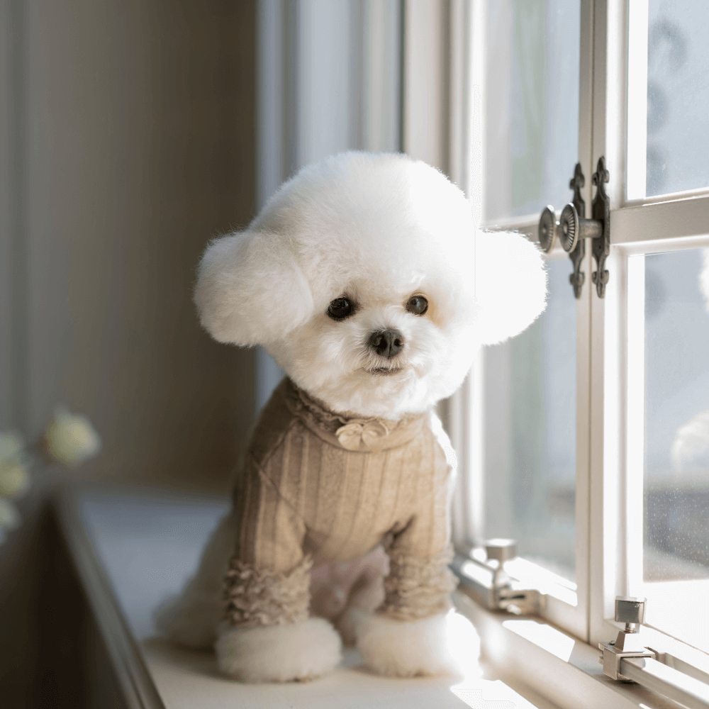 7th Limited Edition Lace Turtleneck(Latte)