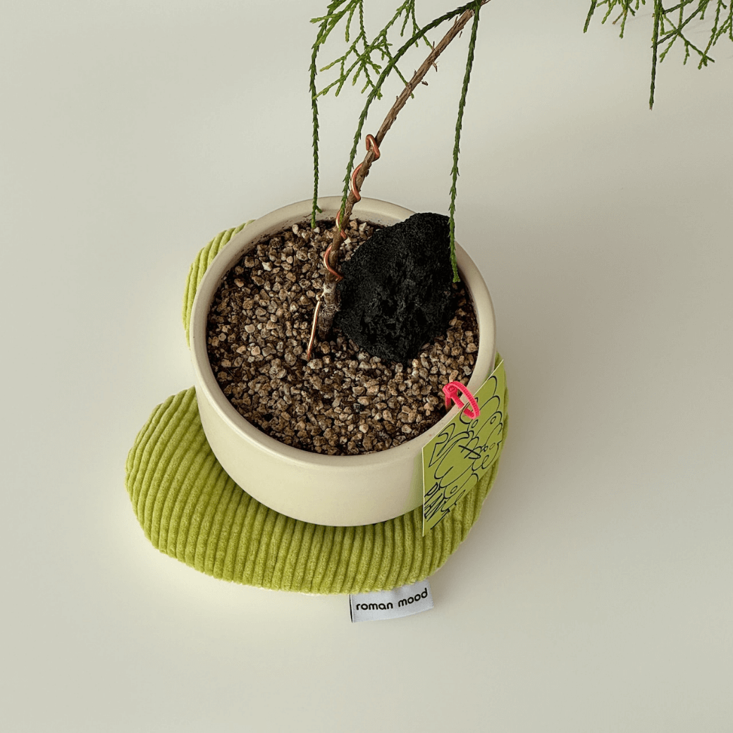 MOOD COASTER (4COLOR)