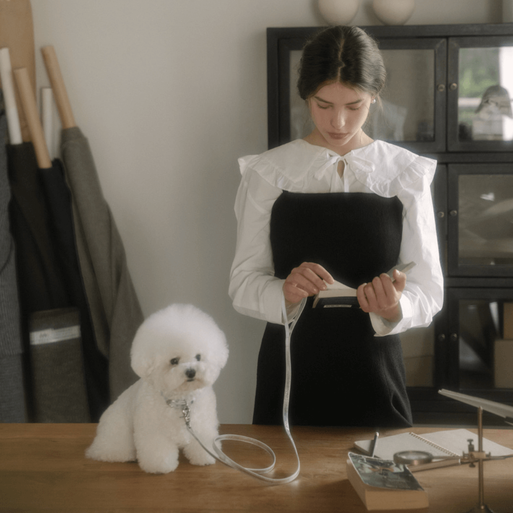 Lumiere Leash (Silver)