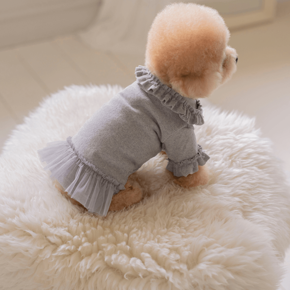 Plie Tu-Tu T-shirt(Gray)