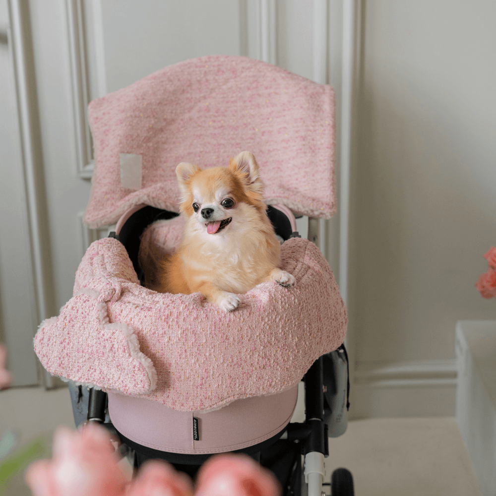 【予約】Couture Buggy Guard