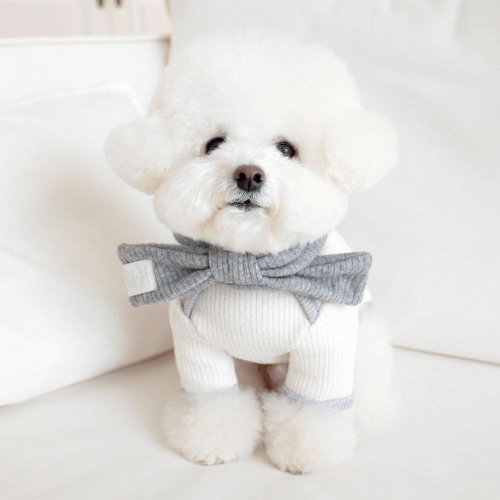 palette wool knit top (ivory)