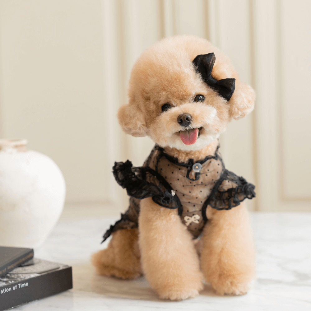 Odette Hair Pin(4colors)