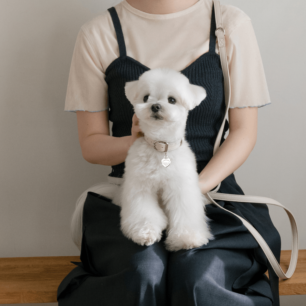 DELIGHT COLLAR(クリーム)