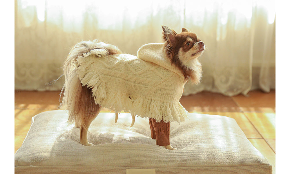 ポンチョニットコート(アイボリー)