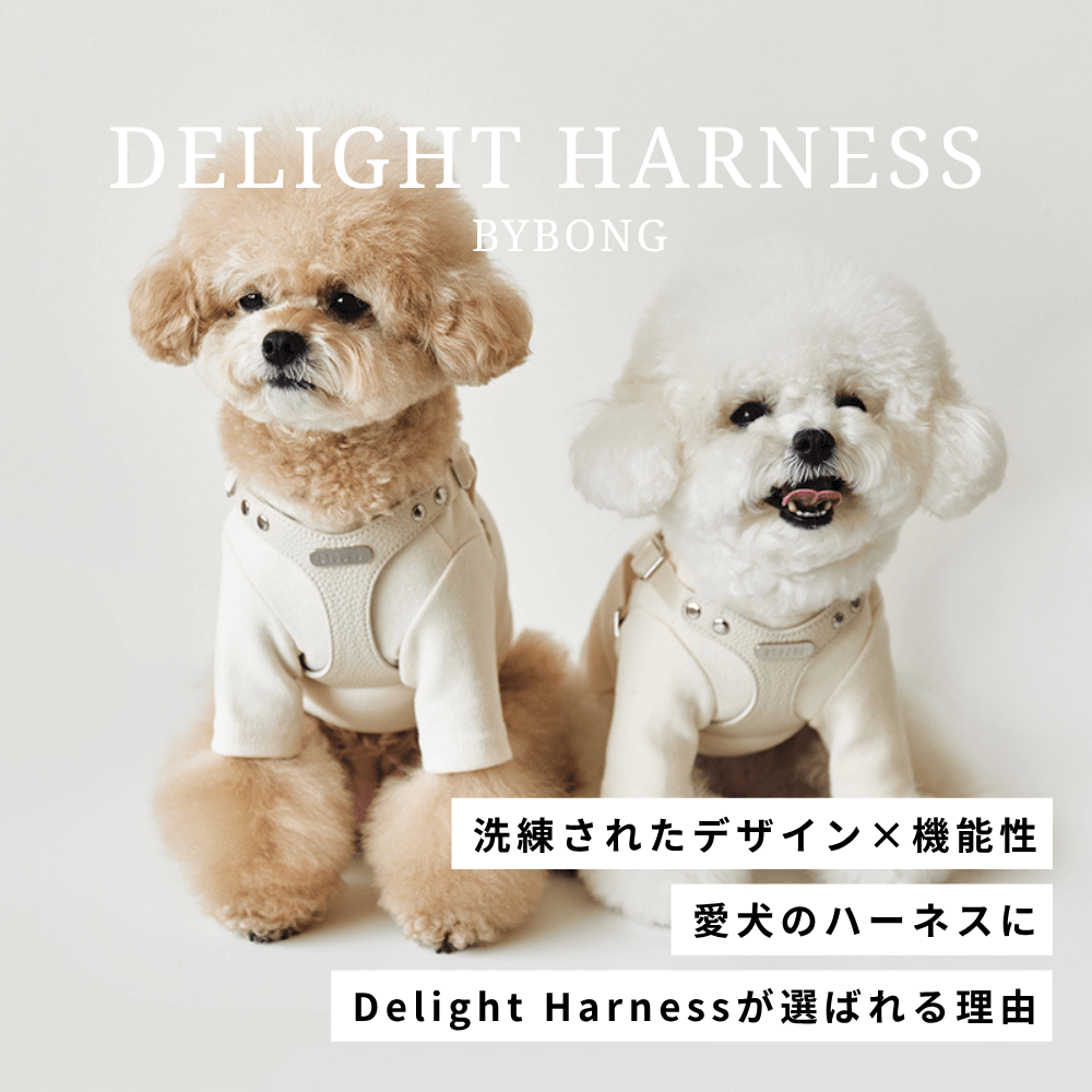 Delight Harness 洗練されたデザイン×機能性 愛犬のハーネスにDelight Harnessが選ばれる理由