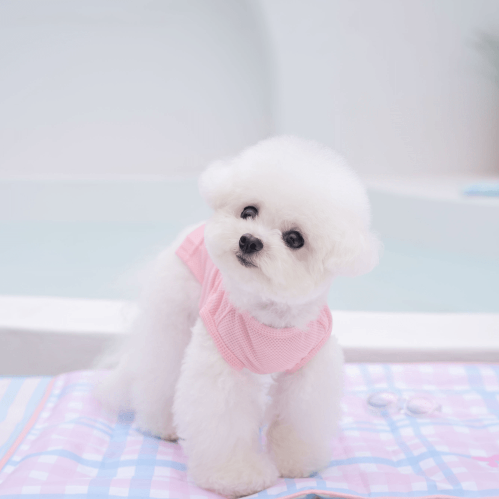 Heart COOL Protect T-shirt(Strawberry Pink)