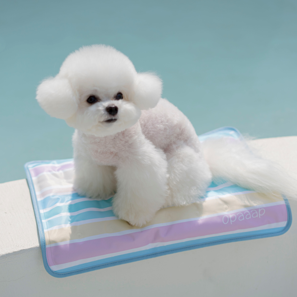 【予約】True COOL Ice Mat (4COLOR)