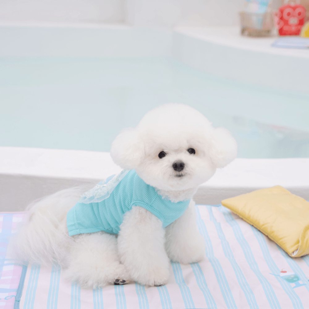 Heart COOL Protect T-shirt(Aqua Ice)