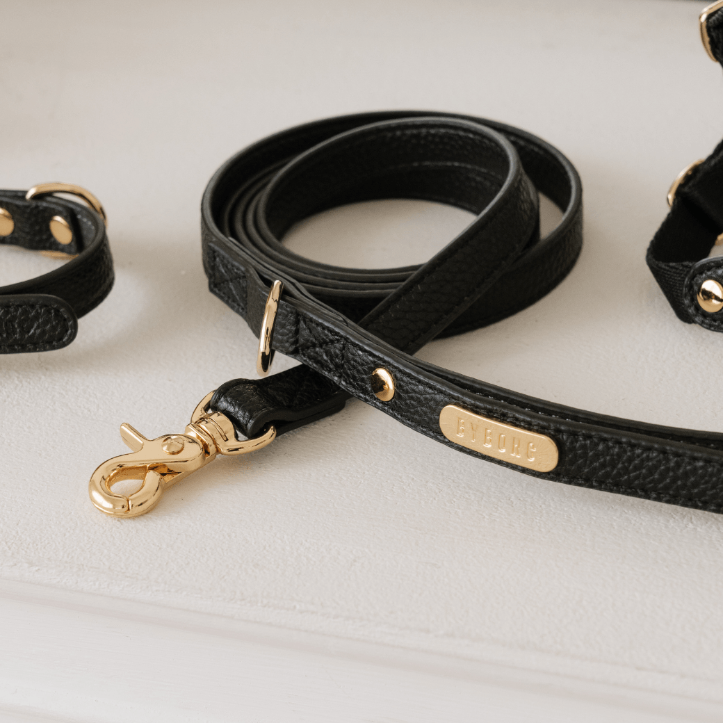 DELIGHT LEASH(ブラック)