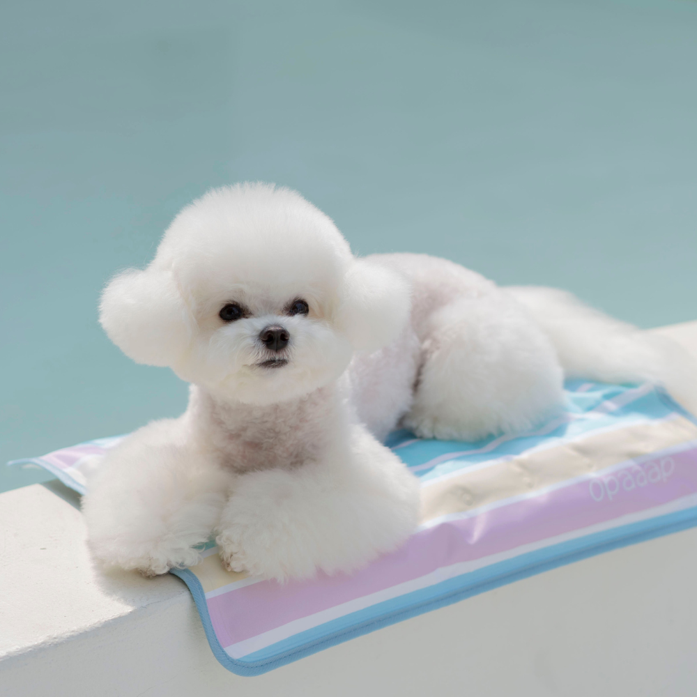 【予約】True COOL Ice Mat (4COLOR)