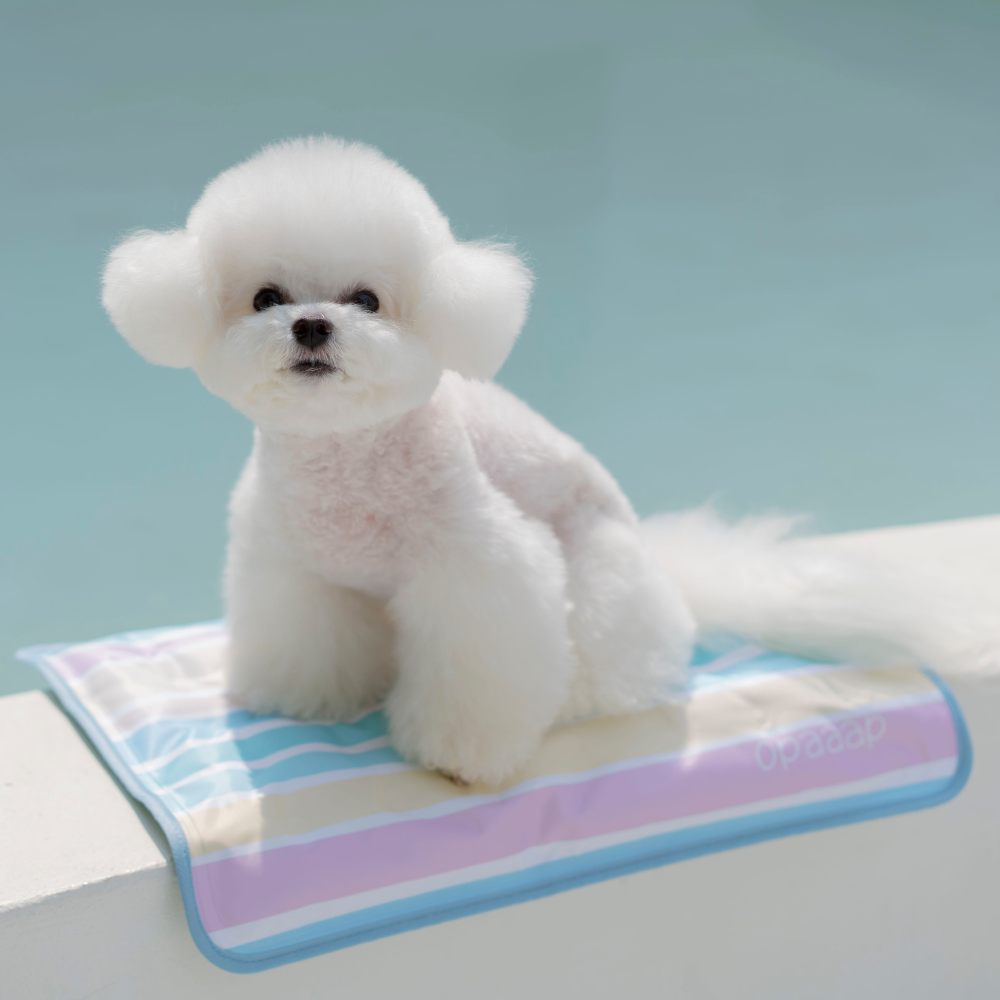 【予約】True COOL Ice Mat (4COLOR)