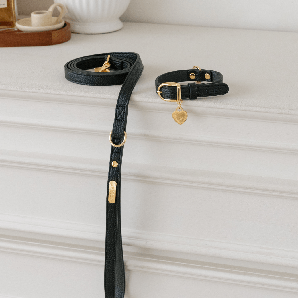 DELIGHT LEASH(ブラック)