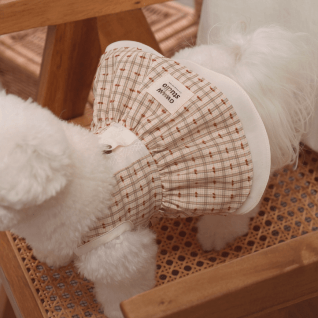 DOROTHY DRESS