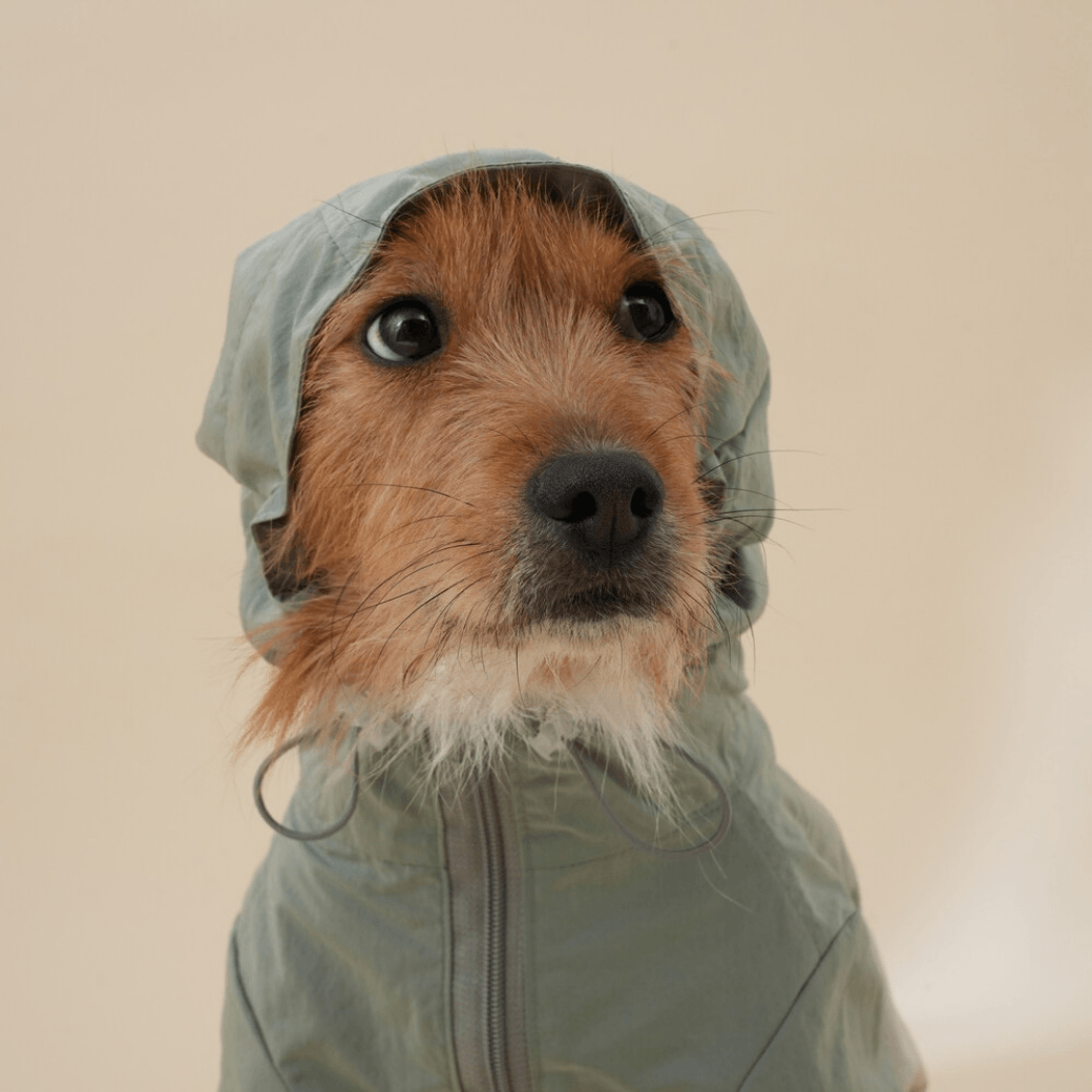 Eco Anorak (2color)