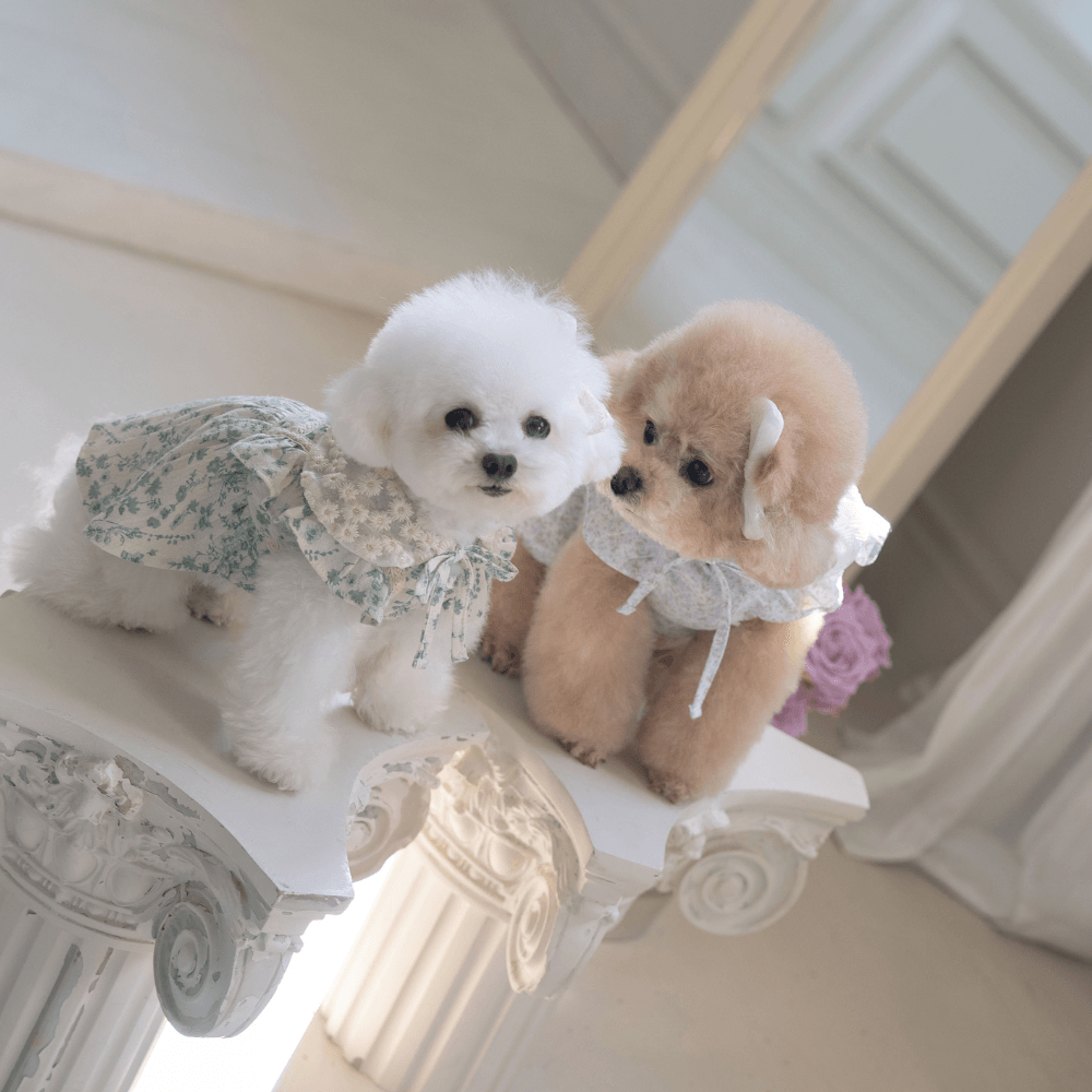 New Greenery Dress (Blue)