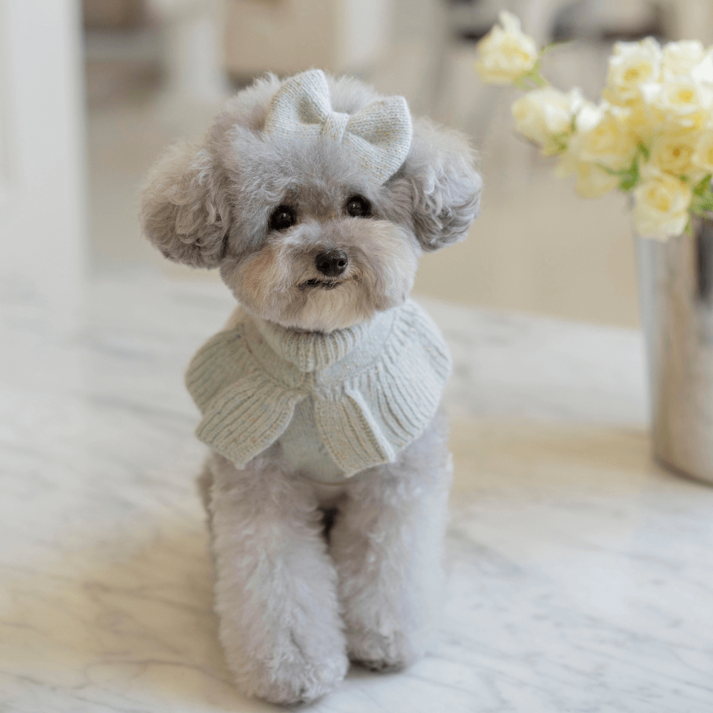 Glitter Frill Knit(Mint Blue)
