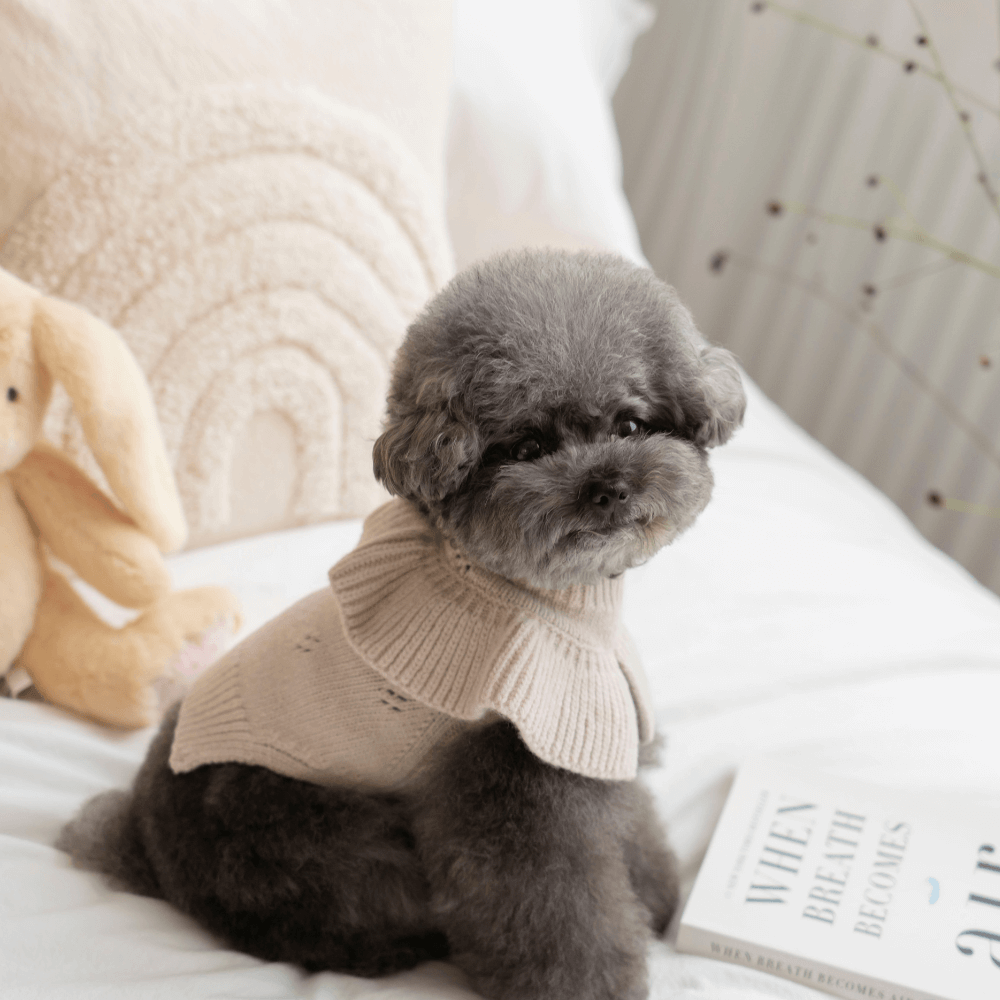 Frill Knit(Mocha)
