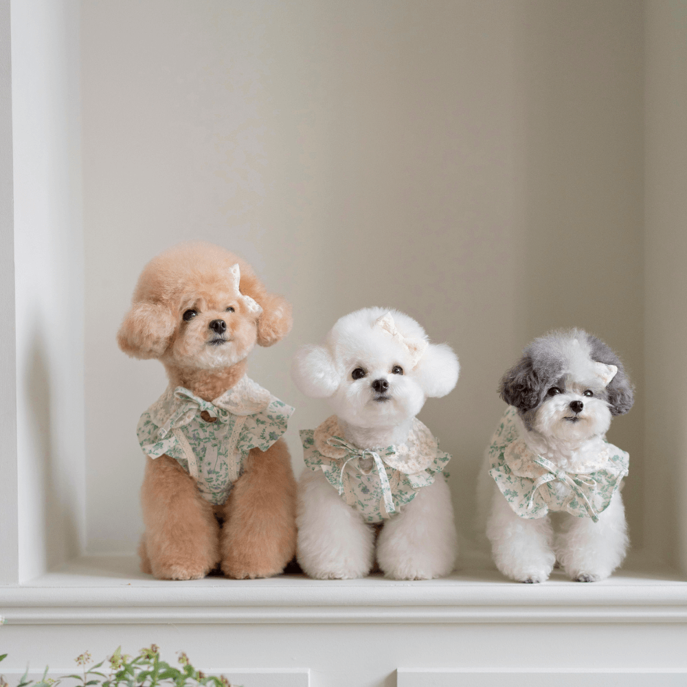 New Greenery Dress(Green)