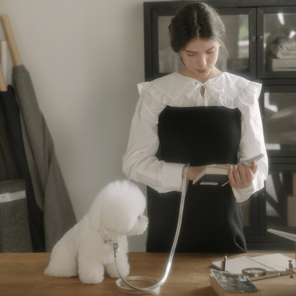 Lumiere Leash (Silver)