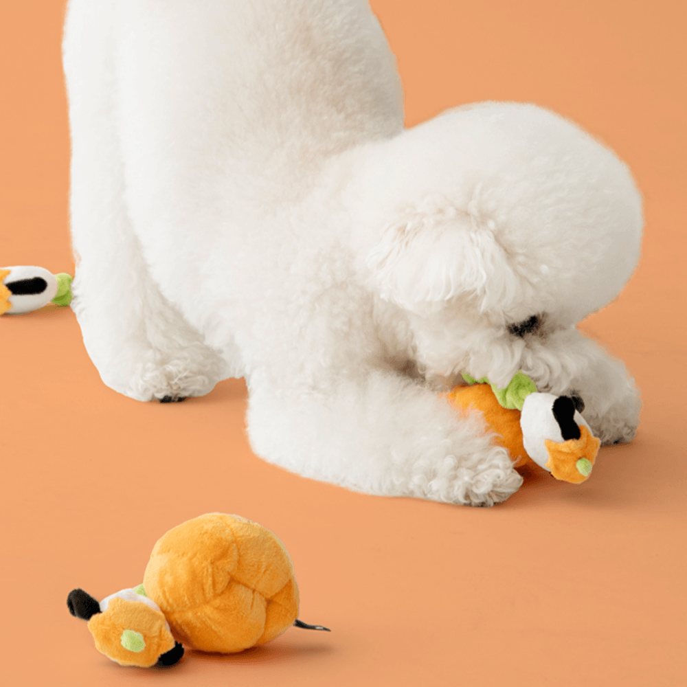 パンプキンパピーストレッチトイ bite me 犬用おもちゃ