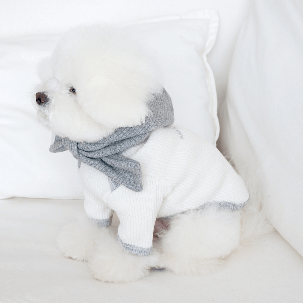 palette wool knit top (ivory)