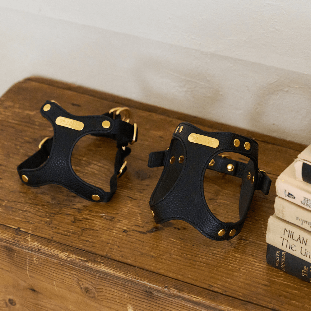 DELIGHT HARNESS バックルver(ブラック)