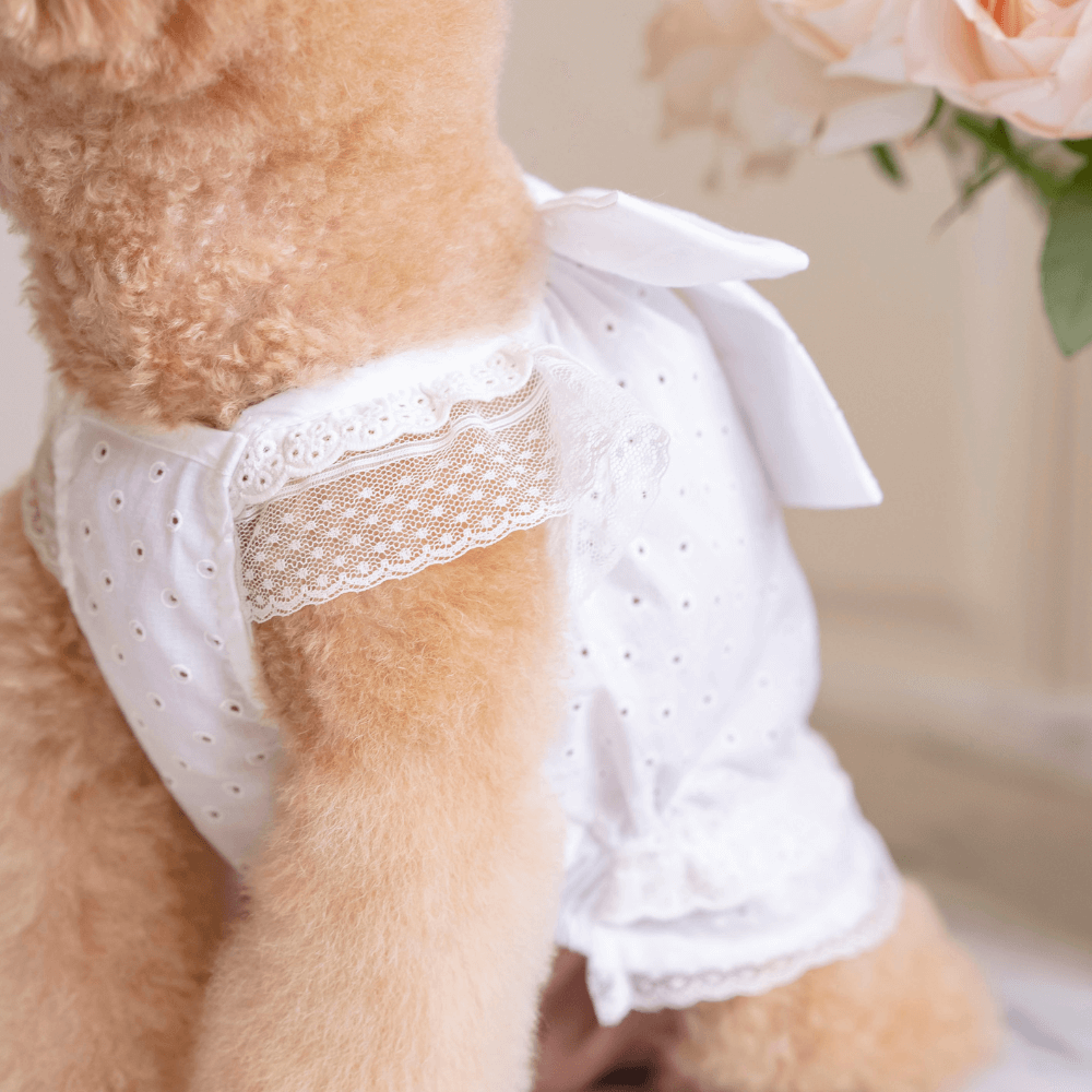 Malibu Dress(White Dot)