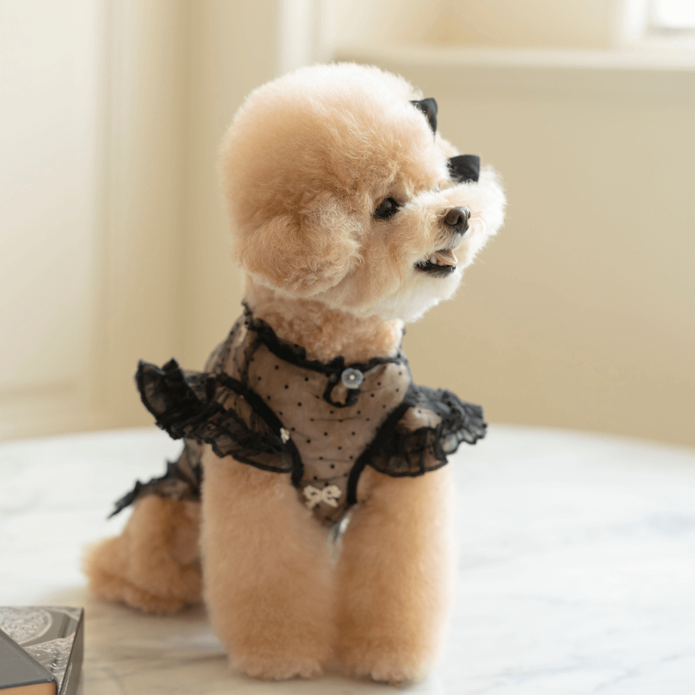 Odette Blouse(Sheer Black)