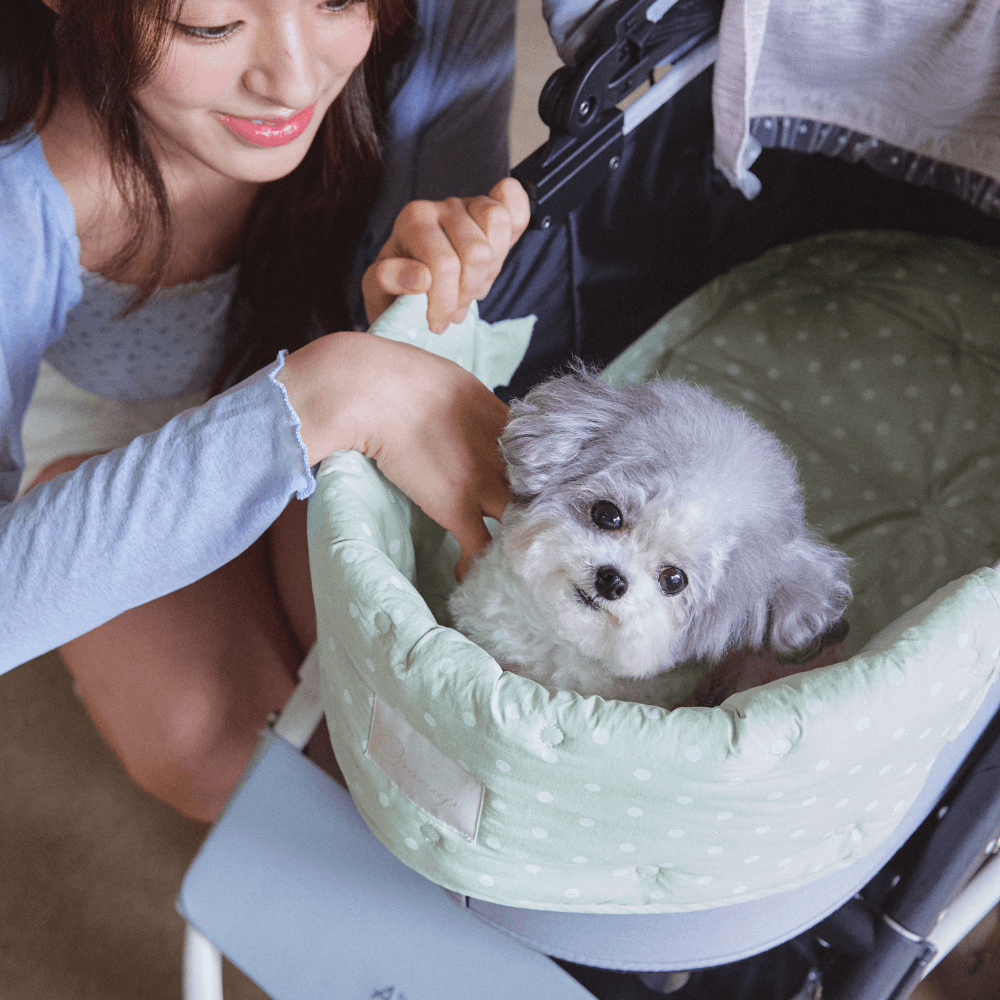 【予約】Buggy Puff (Mint)