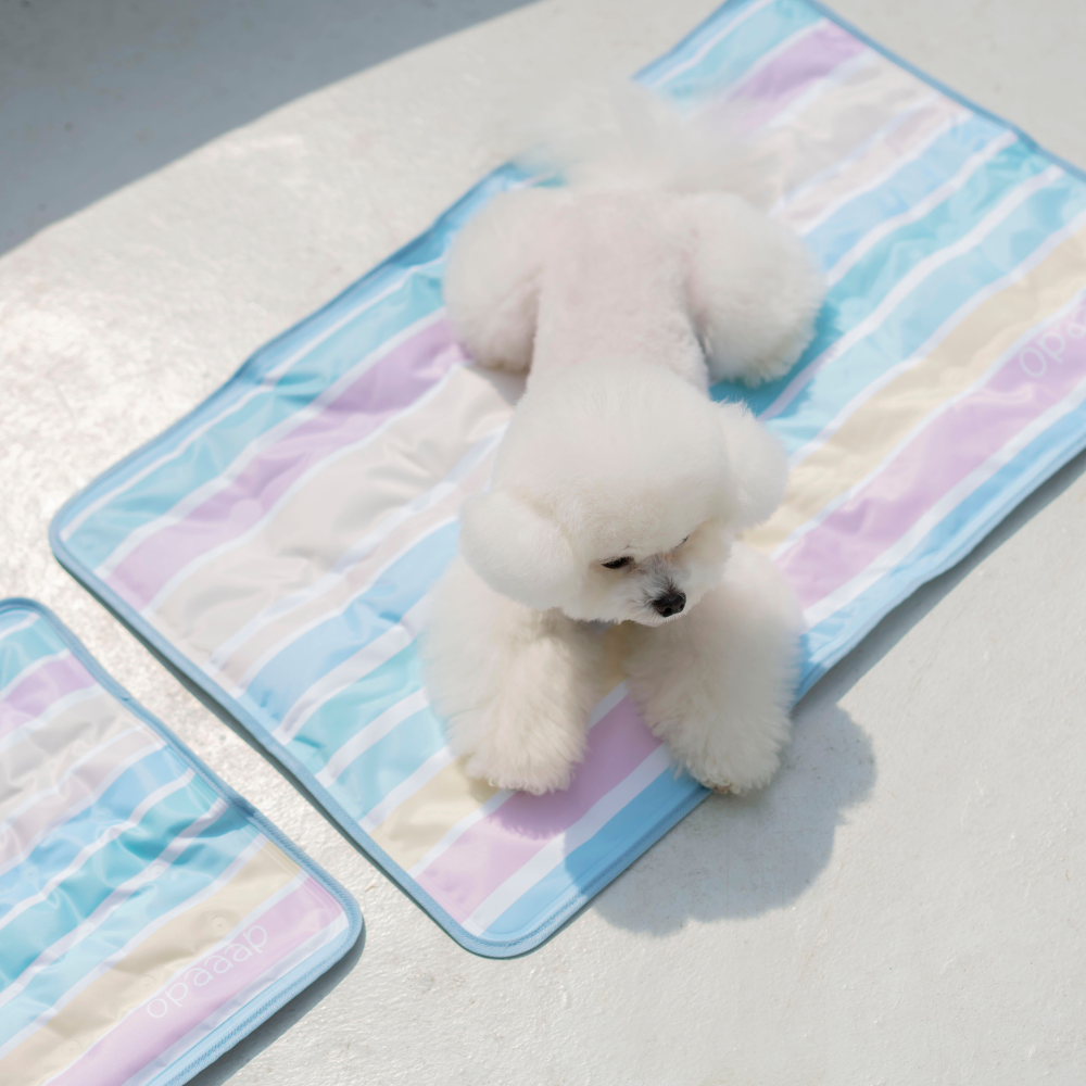 【予約】True COOL Ice Mat (4COLOR)