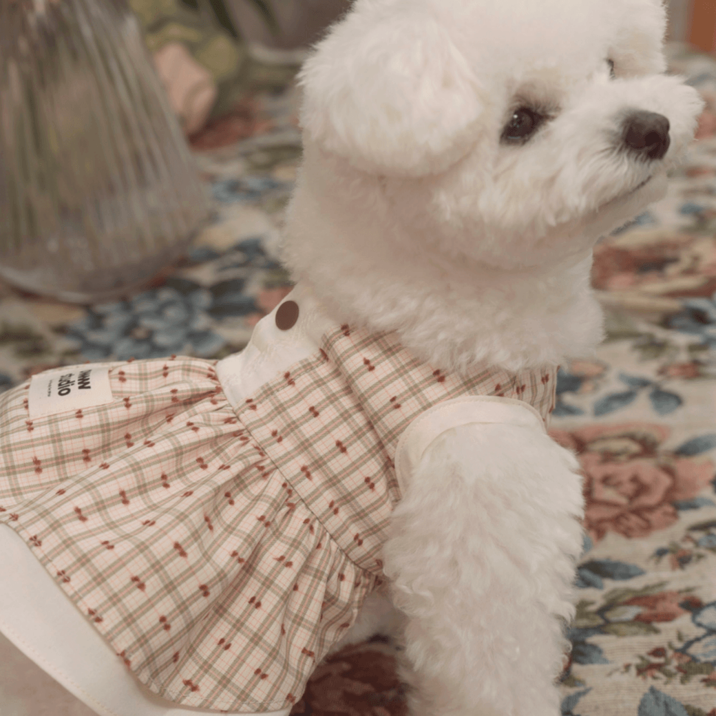 DOROTHY DRESS