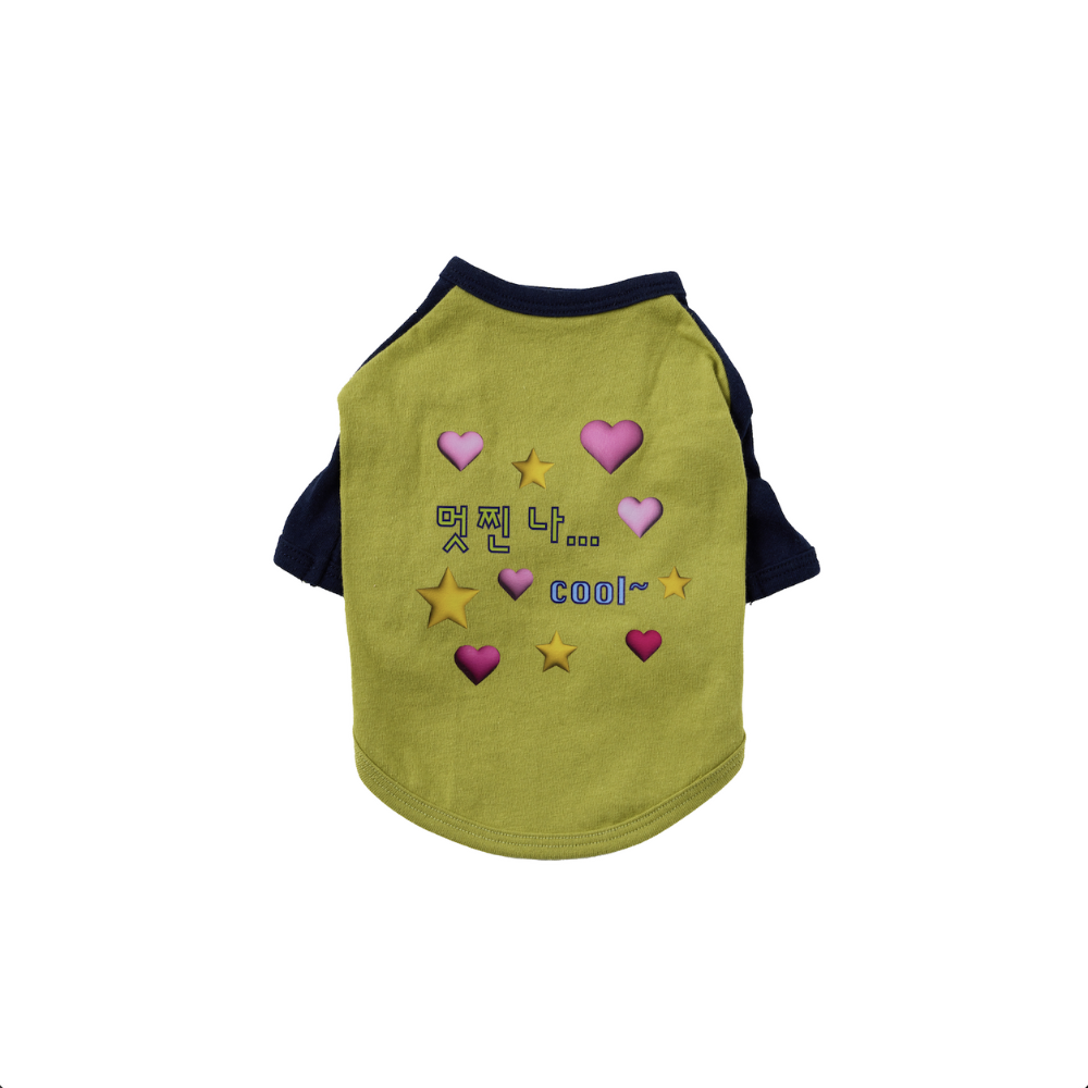 I'm cool raglan T-shirt